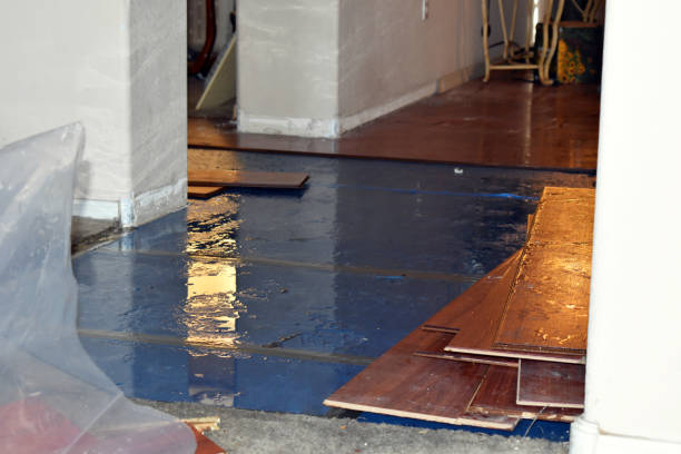 Professional Water Damage Restoration technician working in North Lima, OH